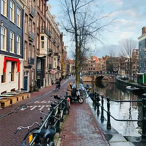  Bed & Breakfast Bee - In The Trendy Jordaan